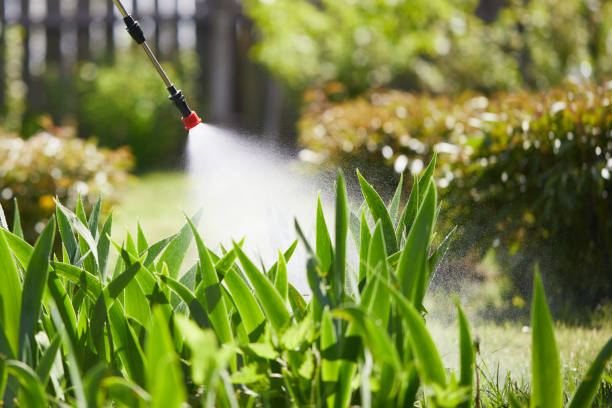 Tamper-Resistant Bait Stations for Rodents in Kittitas