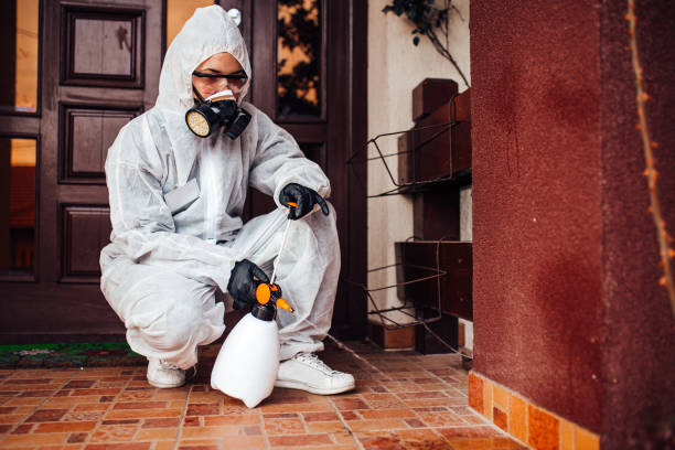 Attic and Crawl Space Rodent Treatment in Kittitas
