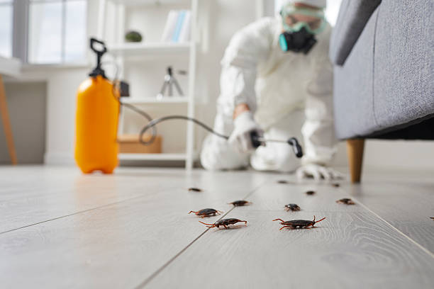 Commercial Rodent Management in Kittitas